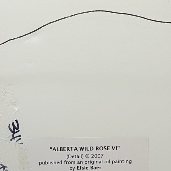 Framed Art Prints Alberta Wild Rose IV and Alberta Wild Rose VI by Elsie Baer - Picture 3 of 16